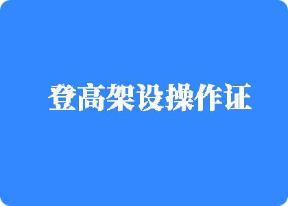 屌插屄片观看视频网登高架设操作证